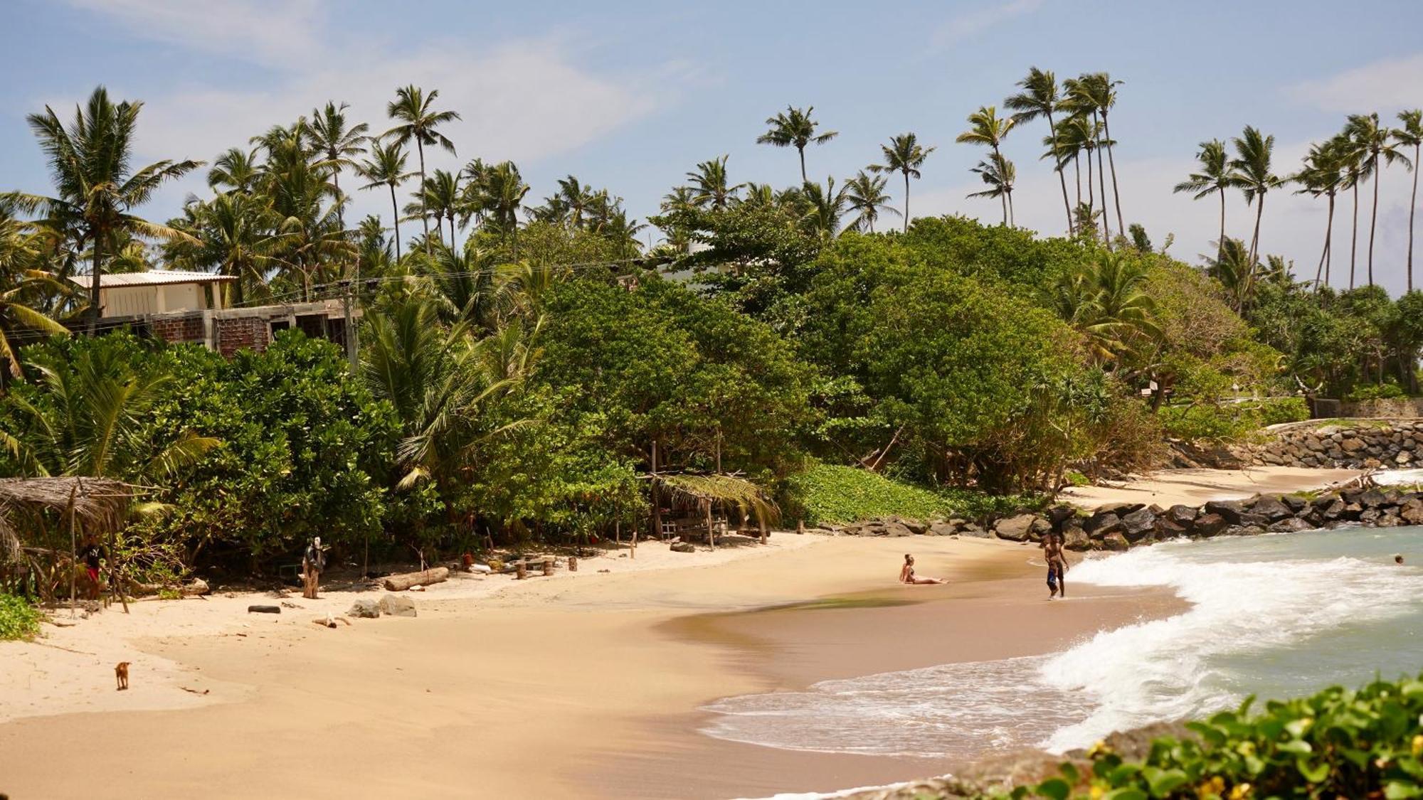 Oceanlife Surf Stay At Horizon Inn Weligama Exterior foto